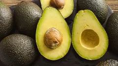 Se poate cultiva avocado acasă: sfaturi și tehnici
