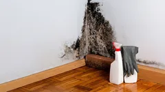 De ce se acumulează umezeala și mucegaiul în spatele mobilierului? Puțini se gândesc la un motiv important.