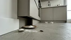 Capcană cu bicarbonat și zahăr pentru gândacii de bucătărie: unde o pui și ce detaliu face diferența