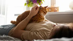 Micul tău vindecător pufos: de ce vine pisica ta la tine când nu te simți bine?