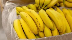 Semnele după care îți dai seama ce banane ar trebui să eviți — nu cumpăra niciodată astfel de banane