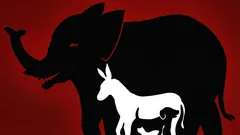 O iluzie optică interesantă: câte animale poți găsi în această imagine în 10 secunde?